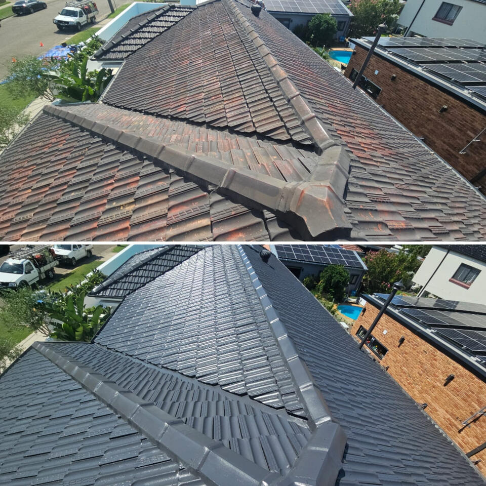 Terracotta Roof Painting